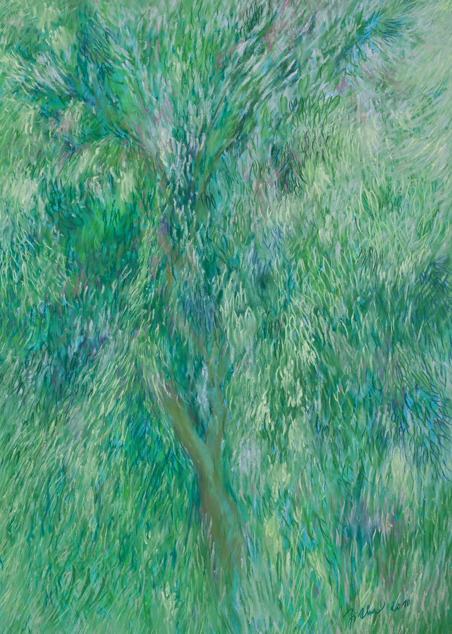 Fresh Forest